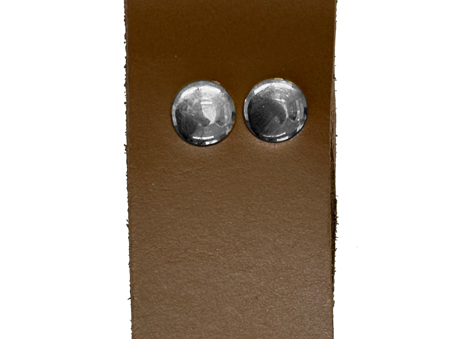 Hood Strap Stainless Steel Screws